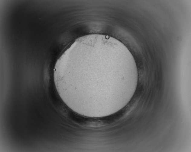 X0000087590215200705181225