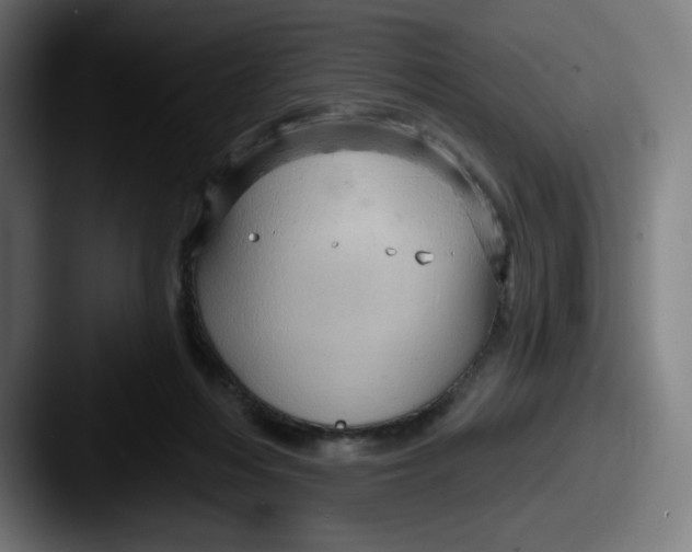 X0000087590216200705181225