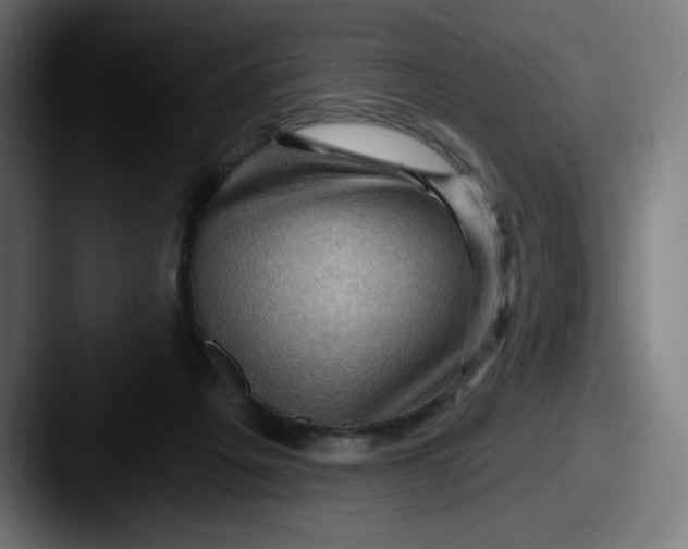 X0000087590217200705181225