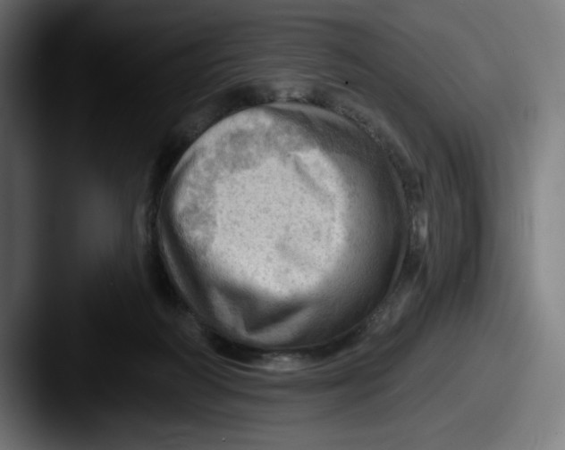 X0000087590218200705181225