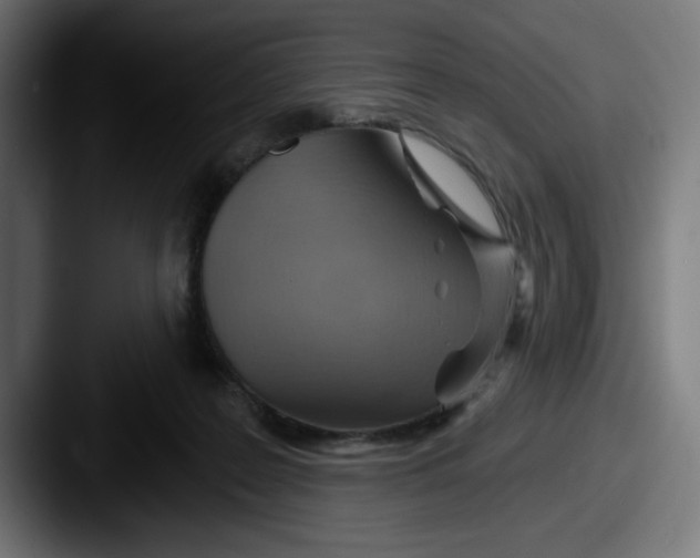 X0000087590219200705181225