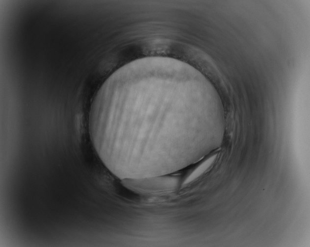 X0000087590224200705181225