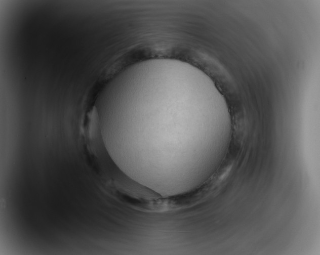 X0000087590225200705181225