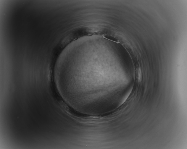 X0000087590227200705181225