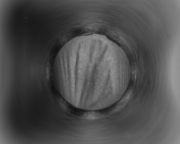 X0000087590231200705181225