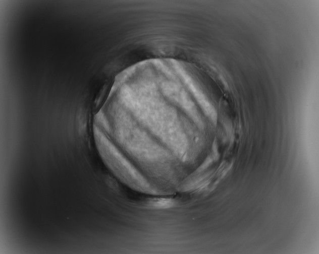 X0000087590233200705181225