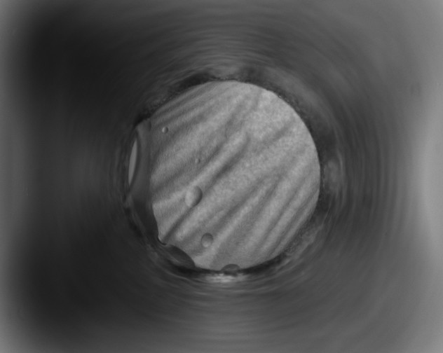 X0000087590234200705181225