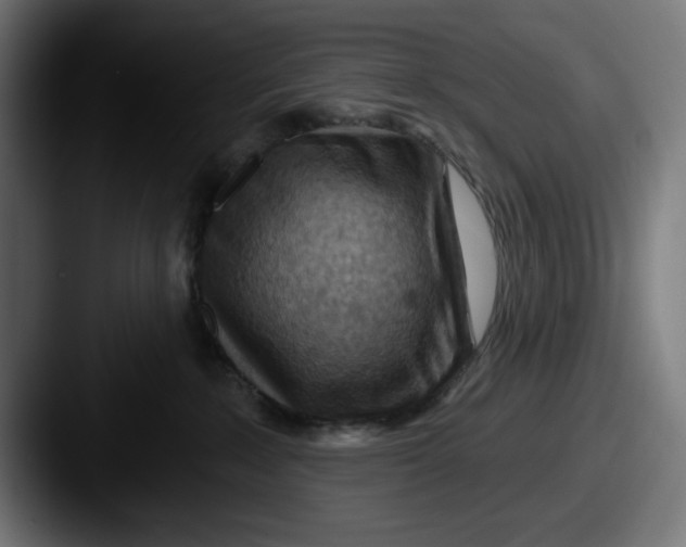 X0000087590235200705181225