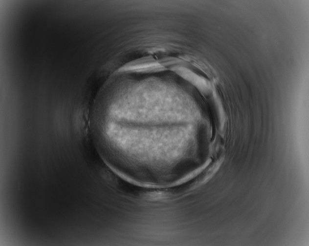 X0000087590237200705181225