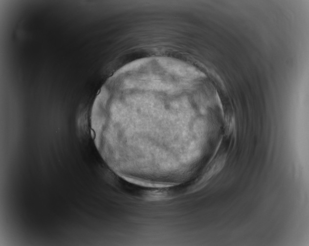 X0000087590238200705181225