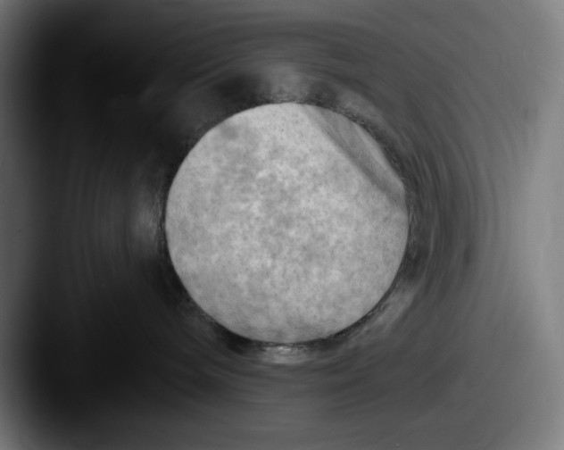 X0000087590240200705181225