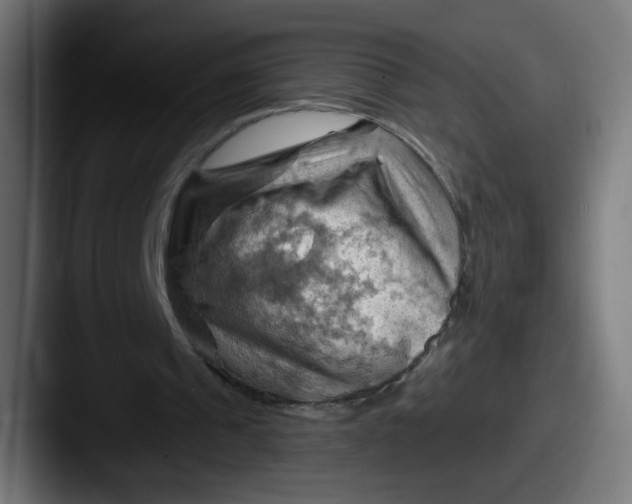 X0000087590241200705181224