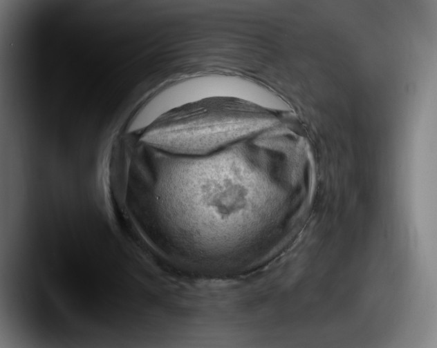 X0000087590242200705181224