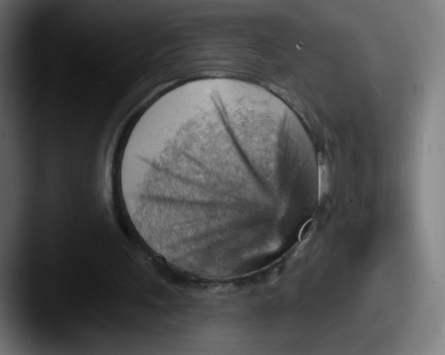 X0000087590243200705181224