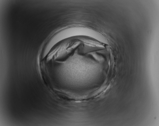 X0000087590244200705181224