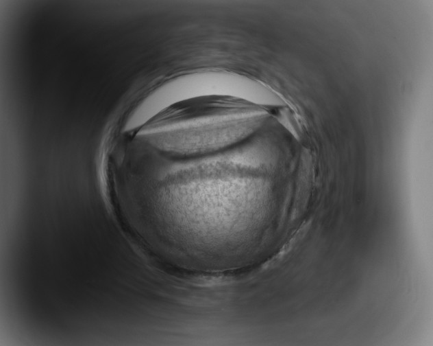 X0000087590245200705181224