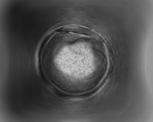 X0000087590246200705181224