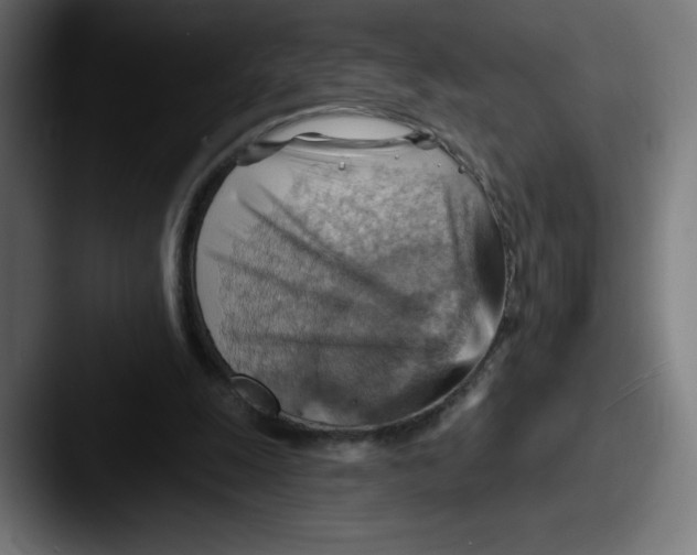 X0000087590247200705181224