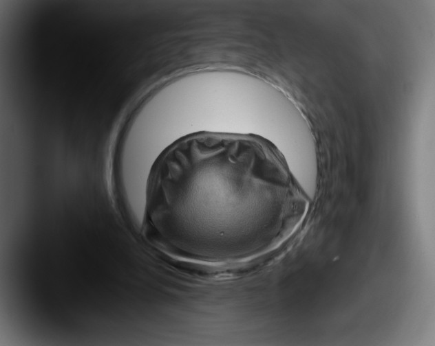 X0000087590248200705181224