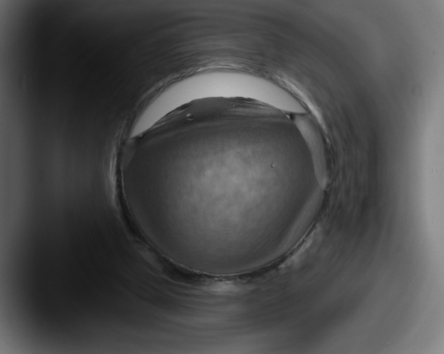 X0000087590249200705181224