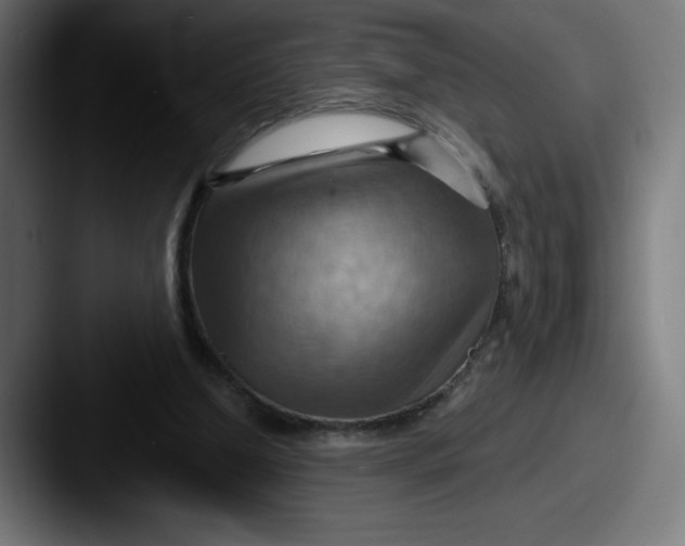 X0000087590250200705181224