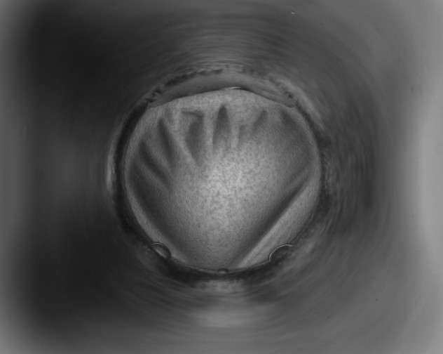 X0000087590251200705181224