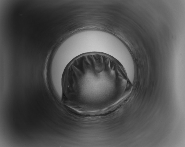 X0000087590252200705181224