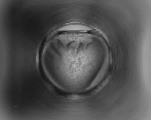 X0000087590253200705181224