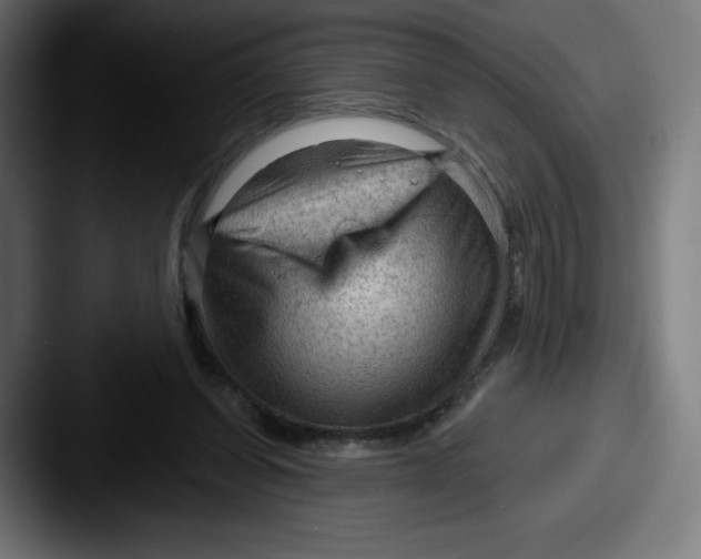 X0000087590254200705181224