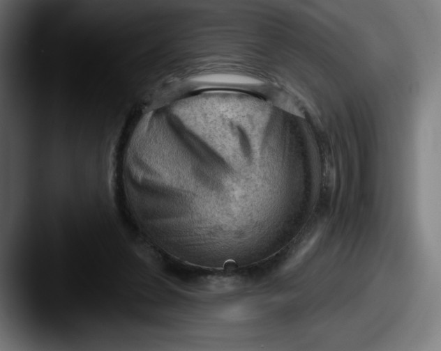 X0000087590255200705181224