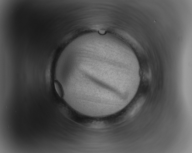 X0000087590256200705181224