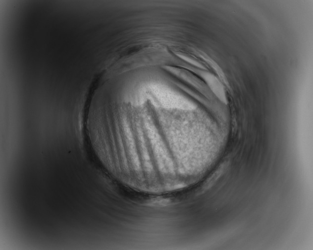 X0000087590257200705181224