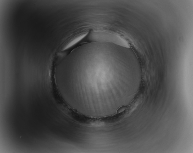 X0000087590258200705181224