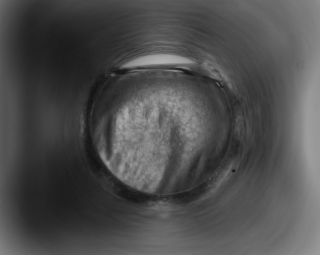 X0000087590259200705181224