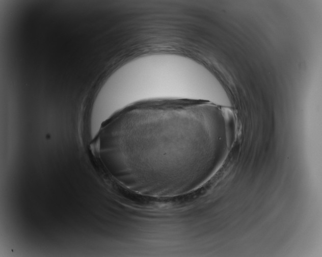 X0000087590260200705181224