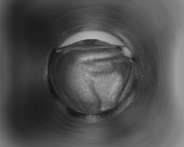 X0000087590261200705181224