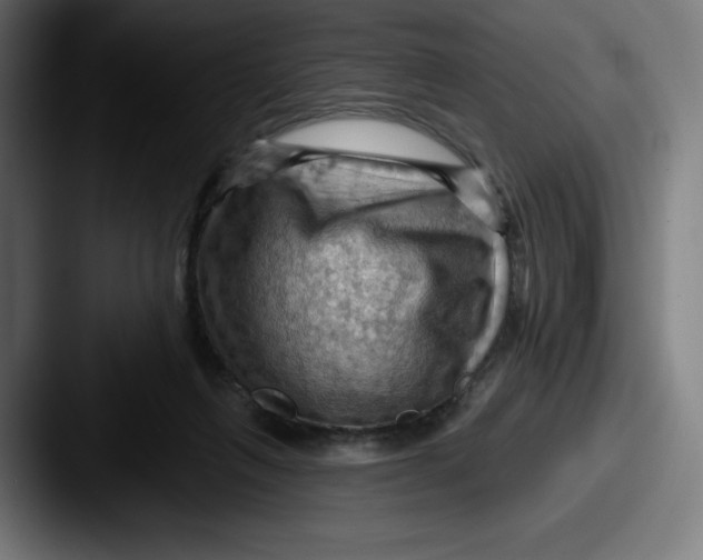 X0000087590263200705181224