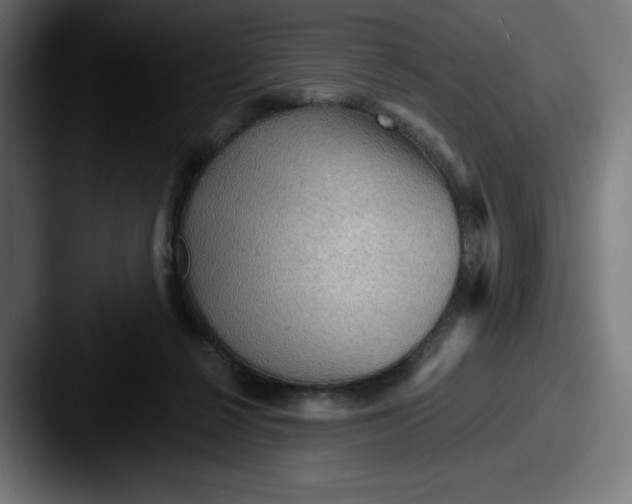 X0000087590264200705181224