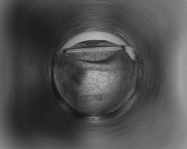 X0000087590265200705181224