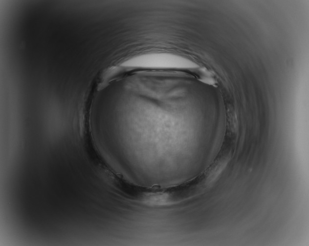 X0000087590266200705181224