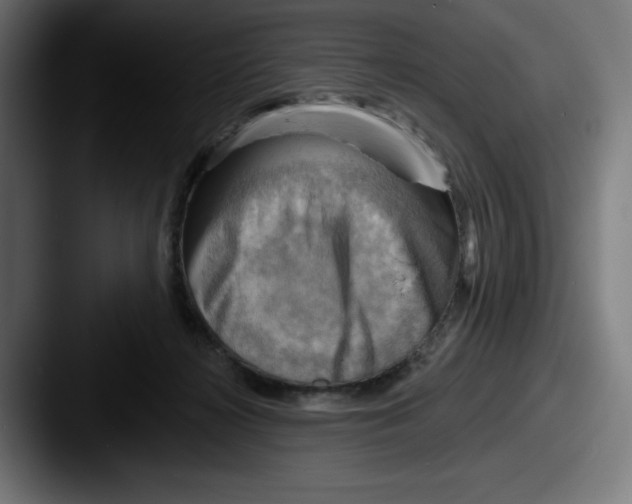 X0000087590268200705181224