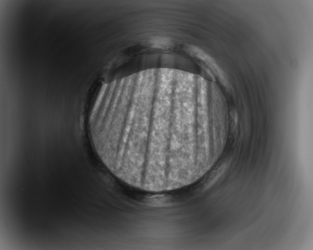 X0000087590269200705181224