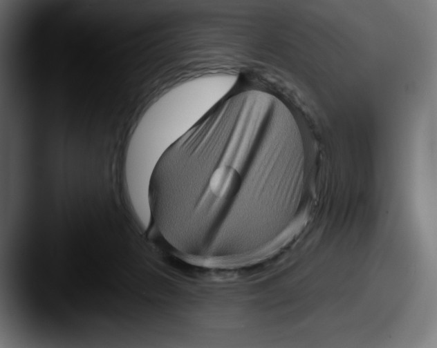 X0000087590270200705181224