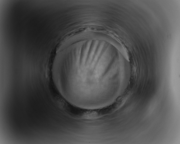 X0000087590271200705181224