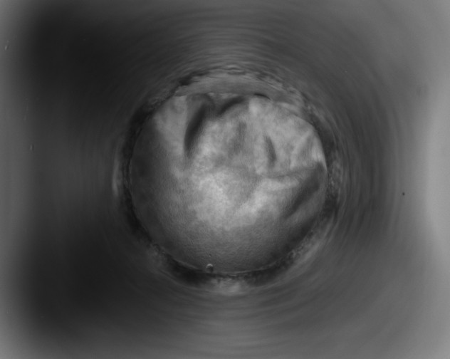 X0000087590272200705181224