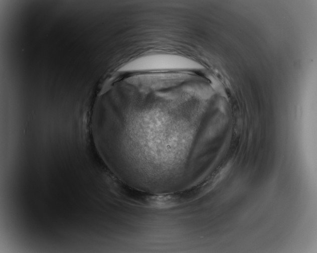 X0000087590273200705181224