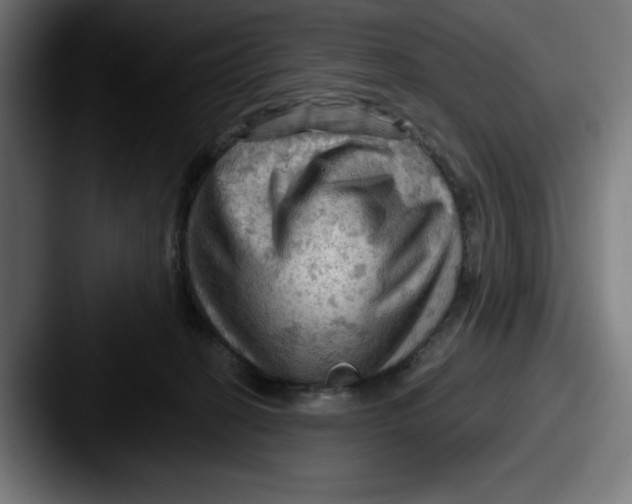 X0000087590274200705181224