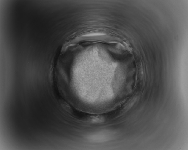 X0000087590275200705181224