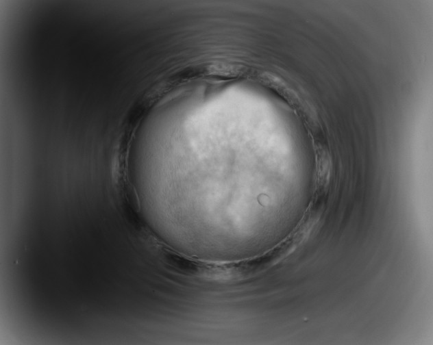 X0000087590276200705181224