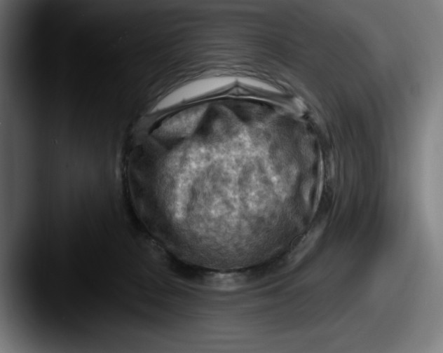 X0000087590277200705181224